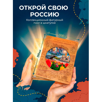 Деревянный фигурный пазл "Фантастический Ил-2. Самарская область." 30x30 см, 182 деталей-1