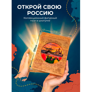 Деревянный фигурный пазл "Штурмовик Ил-2. Самарская область." 30x30 см, 182 деталей-1