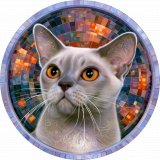 Мандала Лиловая бурманская кошка